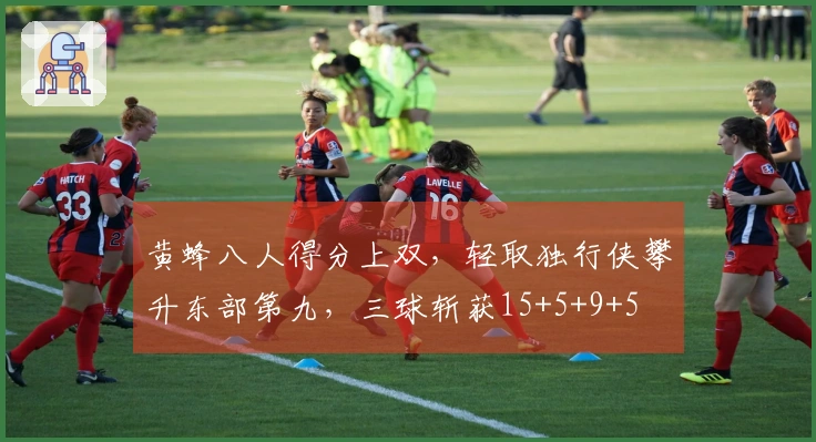 黄蜂八人得分上双，轻取独行侠攀升东部第九，三球斩获15+5+9+5