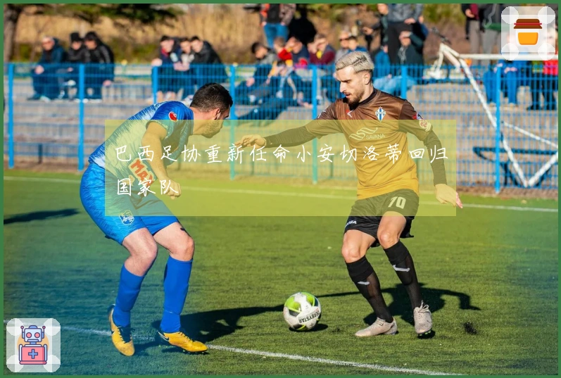 巴西足协重新任命小安切洛蒂回归国家队